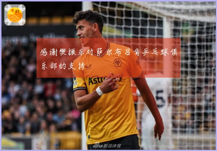 感谢樊振东对萨尔布吕肯乒乓球俱乐部的支持