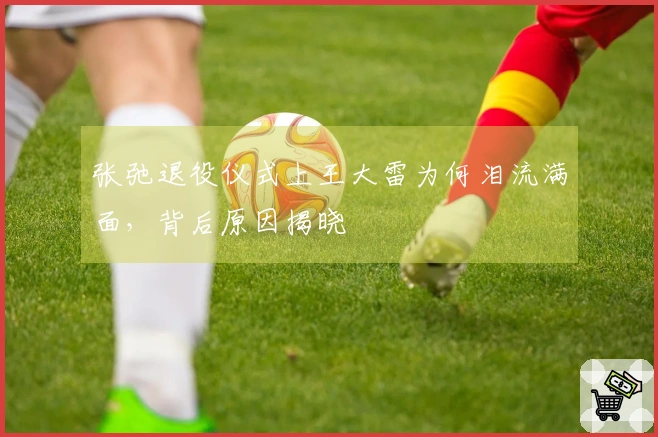 张弛退役仪式上王大雷为何泪流满面，背后原因揭晓